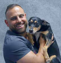 ivan-cepeda-veterinario-madrid