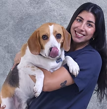 paula-navarrete-veterinario-madrid