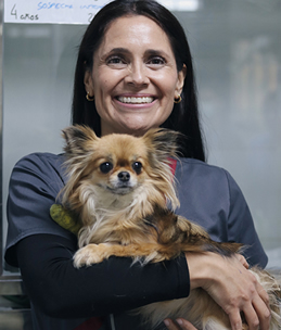 Medicina Preventiva Veterinario Madrid Medicina Preventiva Veterinario Madrid