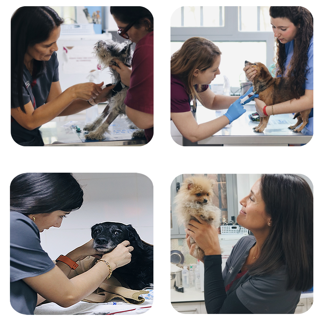 hospital-veterinario-madrid-arturo-soria